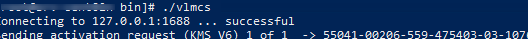 Running KMS server emulator on Linux