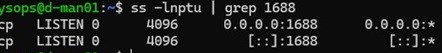 vlmcsd kms emulator listen TCP 1688 port