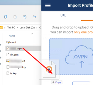 import *.ovpn config file to OpenVPN Connect for Windows