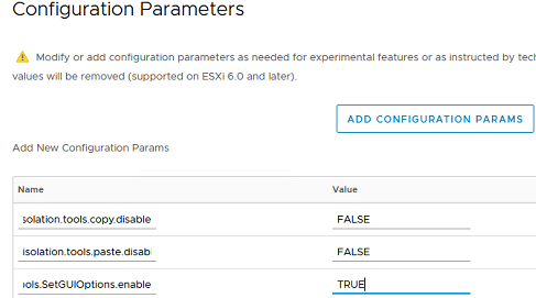 ESXi vm: isolation.tools.paste.disable
