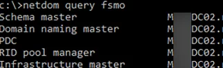 netdom query fsmo