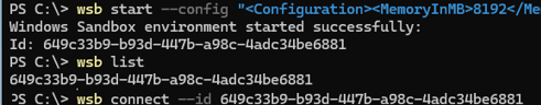 wsb commands to start and connect sandbox