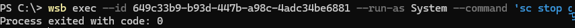 wsb exec - executing commands in Windows Sandbox