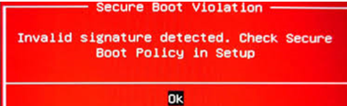 Security Boot Violation - Invalid signature detected